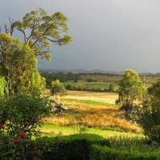 Bungonia Creek wines plants and produce | 1367 Jerrara Rd, Bungonia NSW 2580, Australia