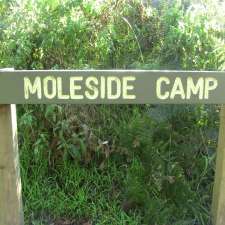 Moleside Creek | Lower Glenelg National Park, Great South West Walk, Mount Richmond VIC 3304, Australia