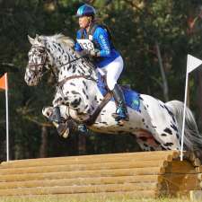 GrandView Sport Horses | 152 Blights Reserve Rd, Wistow SA 5251, Australia