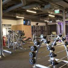 Anytime Fitness | 2/20 Main Street, Ripley QLD 4306, Australia