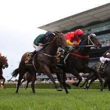 Profiler Racing Software | Horse Racing Sofware | 3 Cavell St, Scoresby VIC 3179, Australia