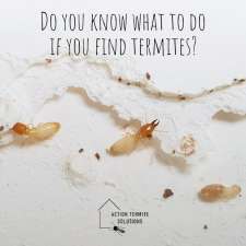 Action Termite Solutions | 317 Glenview Rd, Glenview QLD 4553, Australia