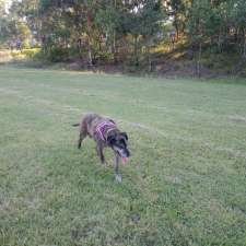 Bolton Point Dog Exercise Area | 22/36 Bay Rd, Fennell Bay NSW 2283, Australia