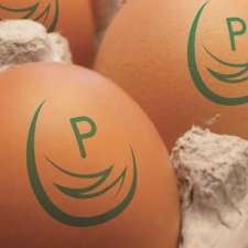 Australian Pasteurised Eggs Pty Ltd | 2 Foundation St, Wellcamp QLD 4350, Australia