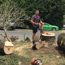 All Tree and Stump Works | 19 Bopple Nut Ct, Cobaki NSW 2486, Australia