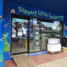 Slippery Little Suckers | 632 Anzac Parade, Kingsford NSW 2032, Australia