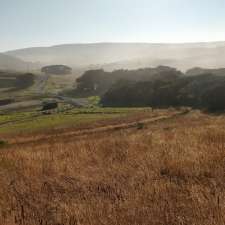 Johanna Beach GOW Campsite | Johanna VIC 3238, Australia