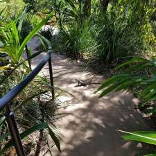 David Fleay Wildlife Park | Loman Lane, Burleigh Heads QLD 4220, Australia