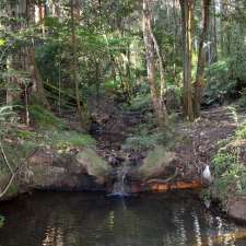 Blue Gum Park | Dulwich Rd, Roseville NSW 2069, Australia