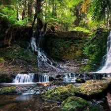 Mount Field National Park | 66 Lake Dobson Rd, National Park TAS 7140, Australia