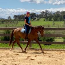 Yarrageh Performance Horses | 1230 Bullamalita Rd, Quialigo NSW 2580, Australia
