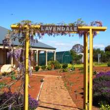 Lavendale Farm | 5895 Great Southern Hwy, Gilgering WA 6302, Australia