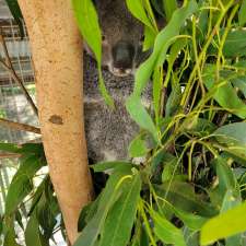 Moggill Koala Rehabilitation Centre | 55 Priors Pocket Rd, Moggill QLD 4070, Australia