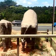 The Big Cows Statue | 930 Phillip Island Rd, Newhaven VIC 3925, Australia