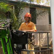 Tree Lopping Brisbane - Affordable Tree Removal | 109 Lindwall St, Upper Mount Gravatt QLD 4122, Australia