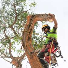 South Gippsland Tree Care | 1 Goochs Rd, Jumbunna VIC 3951, Australia