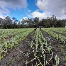 boorara organics | 1601 Muirillup Rd, Boorara Brook WA 6262, Australia