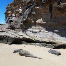 Stuart Chalmers Park | Caves Beach NSW 2281, Australia