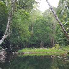 Couchy Creek Nature Reserve | Numinbah NSW 2484, Australia