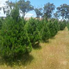 Happy Christmas Tree | 441 Fogartys Gap Rd, Walmer VIC 3463, Australia