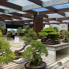 The National Bonsai and Penjing Collection | Forest Dr, Molonglo Valley ACT 2611, Australia