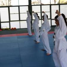 Thrive Taekwondo | 26 Margaret St, Belfield NSW 2191, Australia