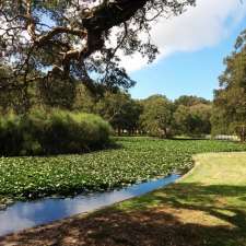 Centennial Parklands | Grand Dr, Centennial Park NSW 2021, Australia