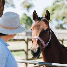 Empowering Equines | Health | 170 Coolart Rd, Moorooduc VIC 3933, Australia