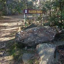 Allison Track Car Park | Durkins Rd, Quoiba TAS 7310, Australia