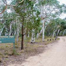 Wog Wog campground | Scenic Rim Walking Track, Wog Wog NSW 2622, Australia