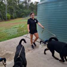 Capricorn Coast Kennels Yeppoon | 31 Neils Rd, Bondoola QLD 4703, Australia