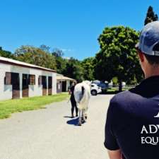 Advance Equine Vets | Riviera Equestrian Centre, 177 Latimers Crossing Rd, Advancetown QLD 4211, Australia