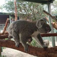 Australia Walkabout Wildlife Park | 1 Darkinjung Rd, Calga NSW 2250, Australia
