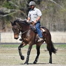 Watkins Horse Handlers | 195 Gooch Rd, Mokine WA 6401, Australia