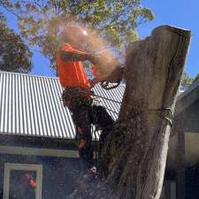 Doonan Tree Service | Wattlebird Dr, Doonan QLD 4562, Australia