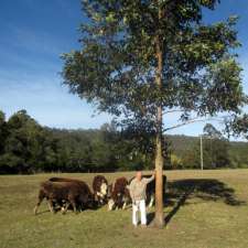 Australian Tree Guards | 58 Kerma Cres, Clarence NSW 2790, Australia