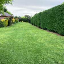 Mower Mate Lawn and Property Maintenance | 4172 Olympic Hwy, The Rock NSW 2655, Australia