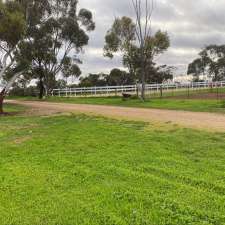 NikSta Horse & Rider Training | 672 Temby Rd, Two Wells SA 5501, Australia