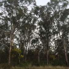 Cumberland Plain Woodlands | 20 Bumbera St, Prestons NSW 2170, Australia