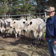 Whiteline Speckle Park Stud | Boiardah, 240 Barwon Park Rd, Winchelsea VIC 3241, Australia