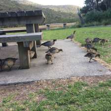 Camp Ground Area | 4th Ave, Tidal River VIC 3960, Australia