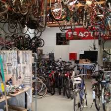 Village Bike Gold Coast | 48 Deodar Dr, Burleigh Waters QLD 4220, Australia