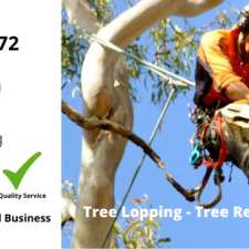 WA Tree Lopping Service | 160 Homestead Rd, Mahogany Creek WA 6072, Australia