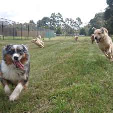 Bark Avenue Luxury Pet Resort | 281 Bungower Rd, Moorooduc VIC 3933, Australia