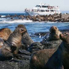 Wildlife Coast Cruises | 11 The Esplanade, Cowes VIC 3922, Australia