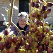 Seaview olive processing | 125 Seaview Dr, Karakin WA 6044, Australia