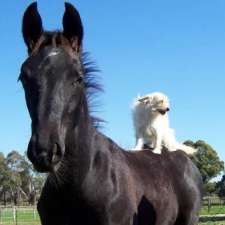 The Cottage Equestrian Facility | 605 North Rd, Cranbourne South VIC 3977, Australia