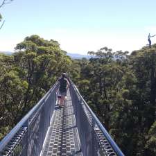 Road Entrance to the Valley of the Giants | Valley of the Giants Rd, Tingledale WA 6333, Australia