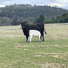 Temple Mount Farm | 64 Boundary Rd, Woodend North VIC 3442, Australia