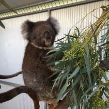 Adelaide Koala & Wildlife Hospital | 282 Anzac Hwy, Plympton SA 5038, Australia